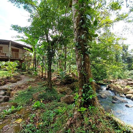 Cabana Vista Rio Celeste Εξωτερικό φωτογραφία