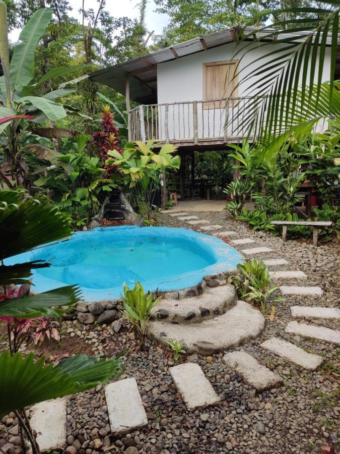 Cabana Vista Rio Celeste Εξωτερικό φωτογραφία