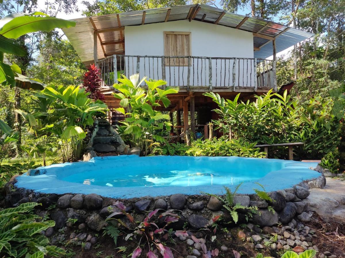 Cabana Vista Rio Celeste Εξωτερικό φωτογραφία