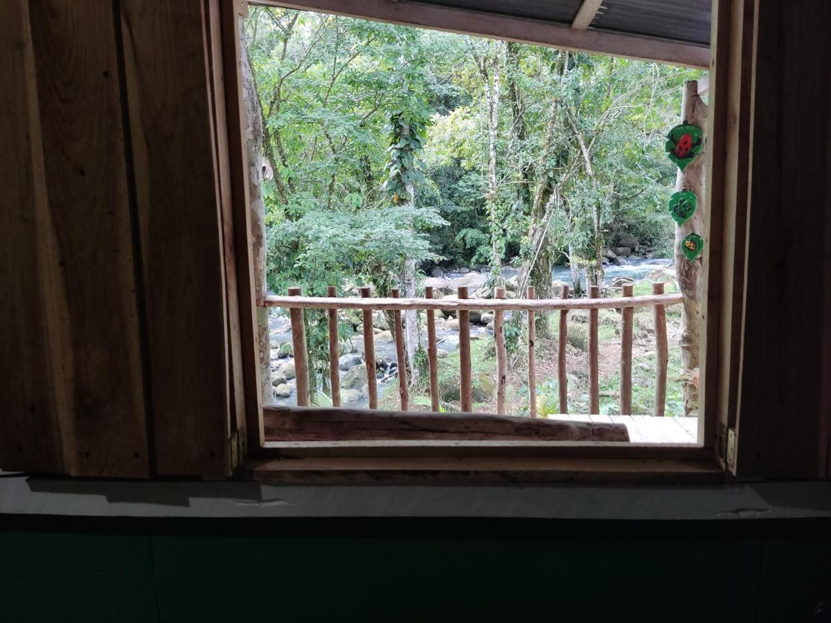 Cabana Vista Rio Celeste Εξωτερικό φωτογραφία