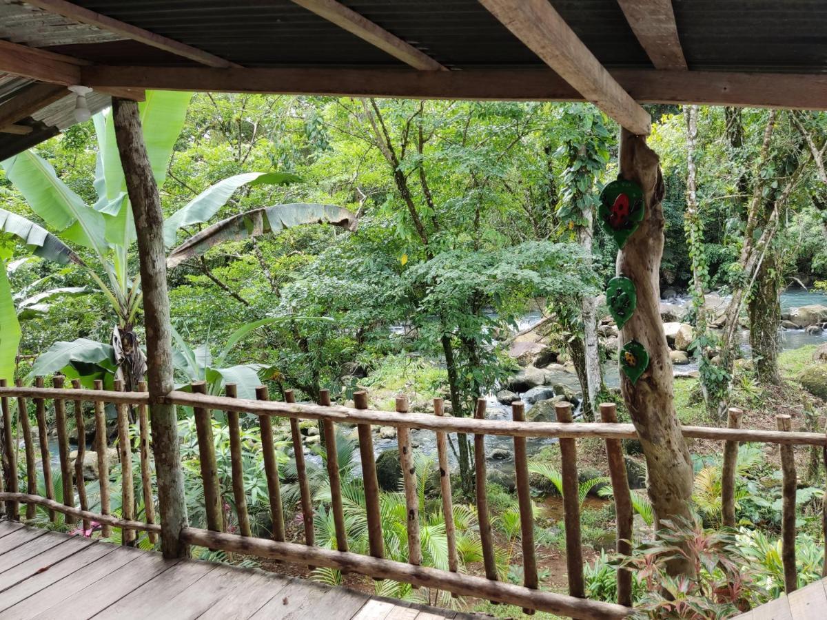 Cabana Vista Rio Celeste Εξωτερικό φωτογραφία