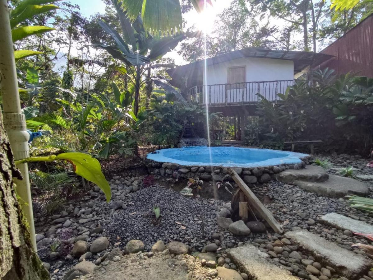 Cabana Vista Rio Celeste Εξωτερικό φωτογραφία