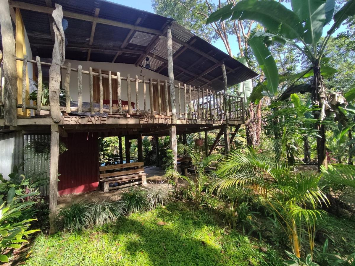 Cabana Vista Rio Celeste Εξωτερικό φωτογραφία