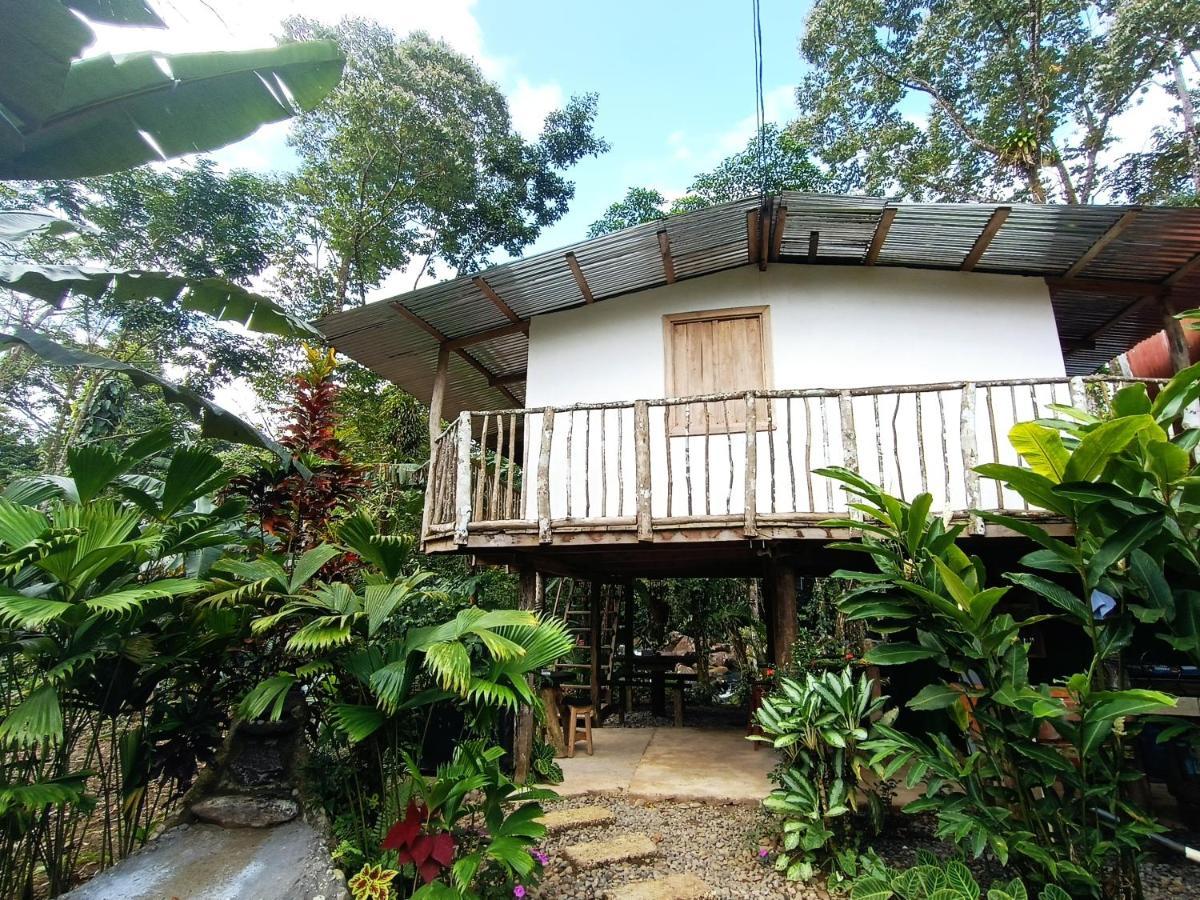 Cabana Vista Rio Celeste Εξωτερικό φωτογραφία