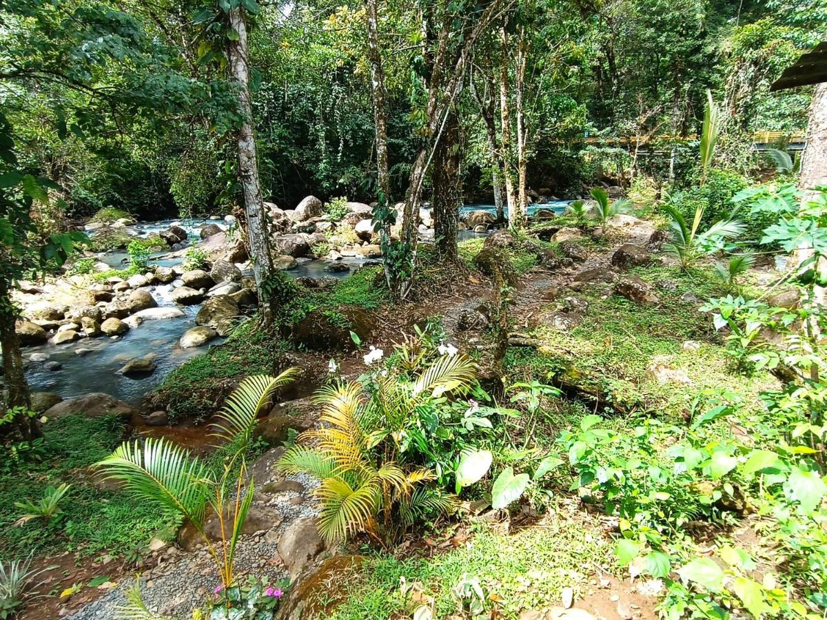 Cabana Vista Rio Celeste Εξωτερικό φωτογραφία