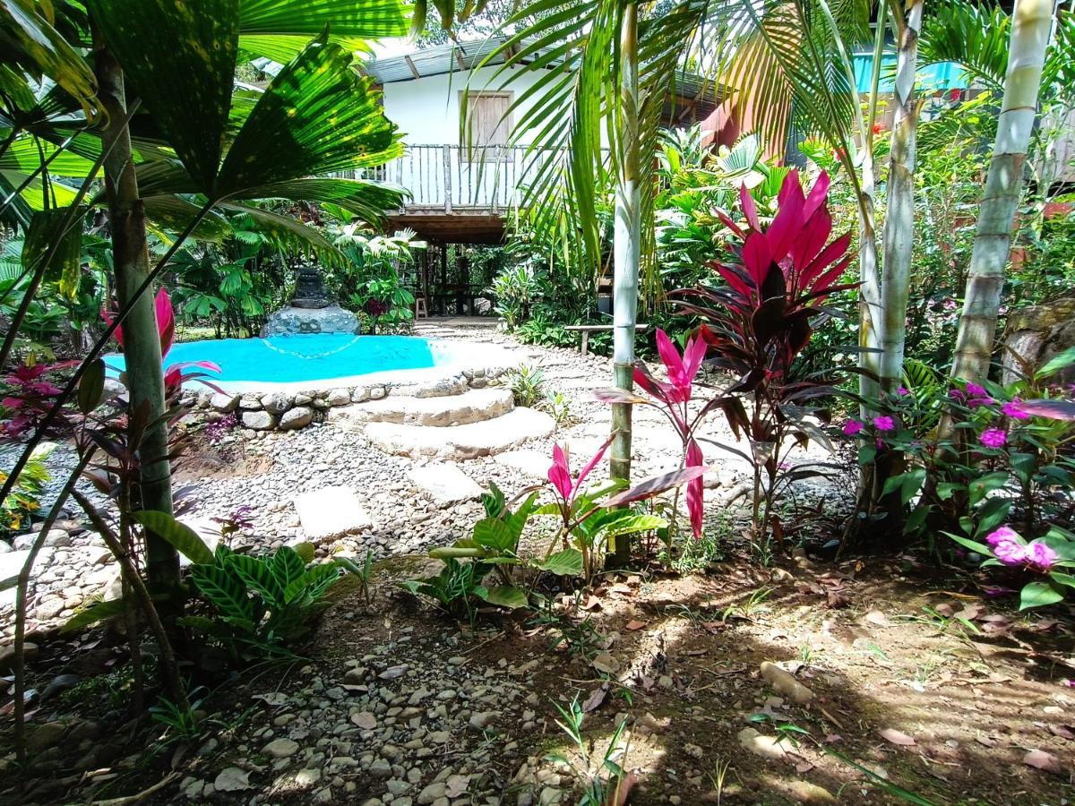 Cabana Vista Rio Celeste Εξωτερικό φωτογραφία