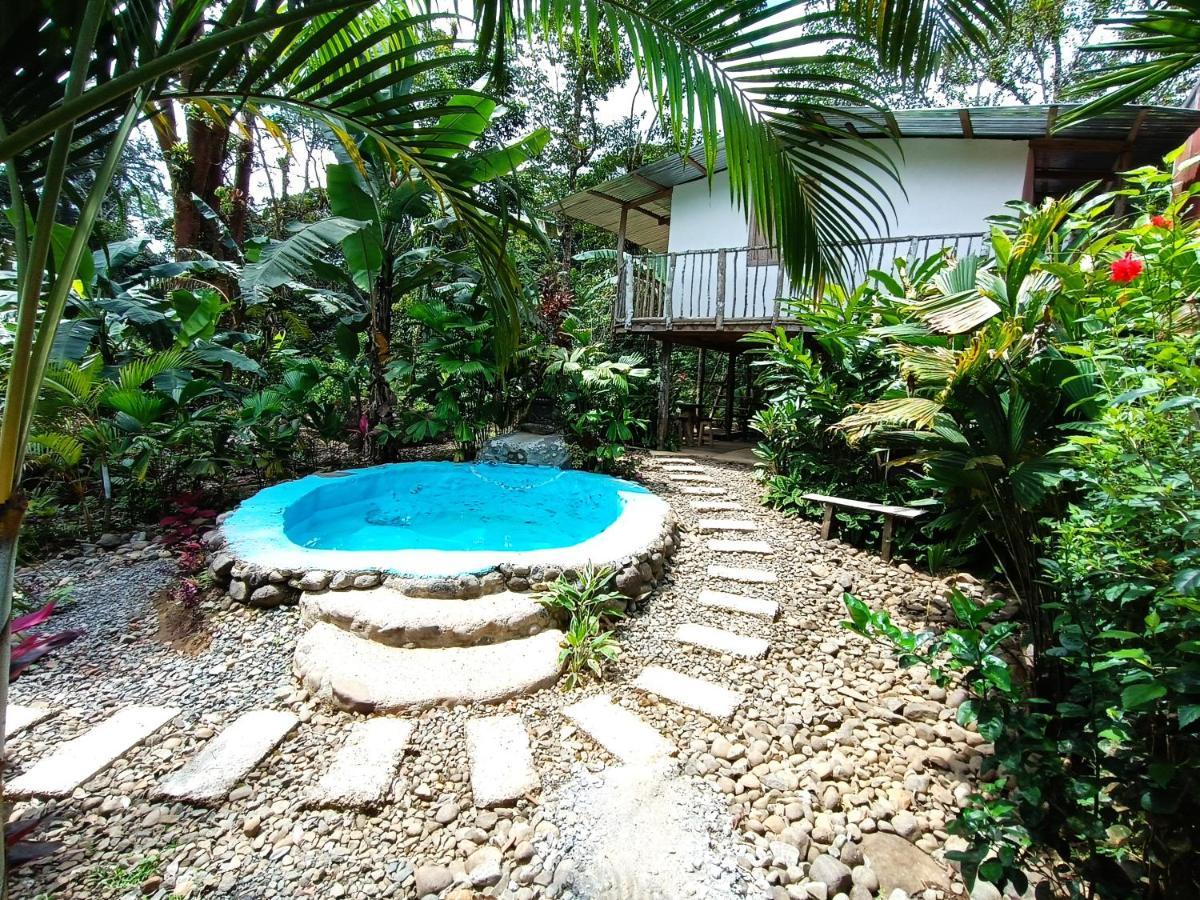 Cabana Vista Rio Celeste Εξωτερικό φωτογραφία