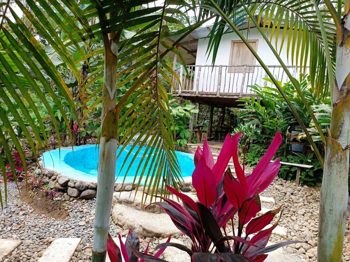 Cabana Vista Rio Celeste Εξωτερικό φωτογραφία