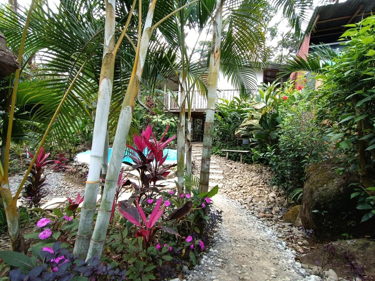 Cabana Vista Rio Celeste Εξωτερικό φωτογραφία