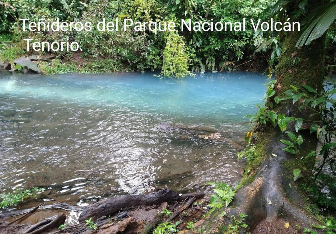 Cabana Vista Rio Celeste Εξωτερικό φωτογραφία